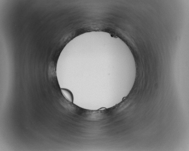 X0000111140384200907141326