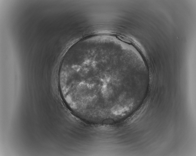 X0000111140385200907141326