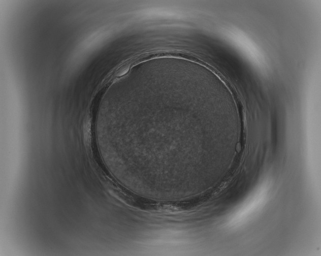 X0000111140387200907141326