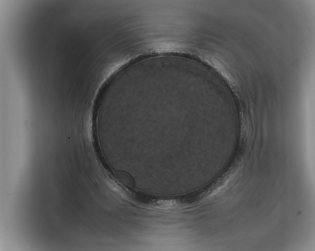 X0000111140391200907141326