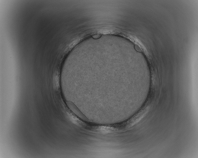 X0000111140393200907141325