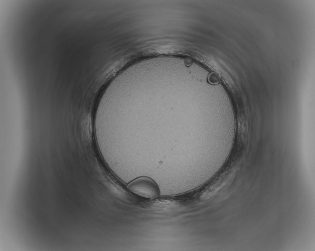 X0000111140397200907141325