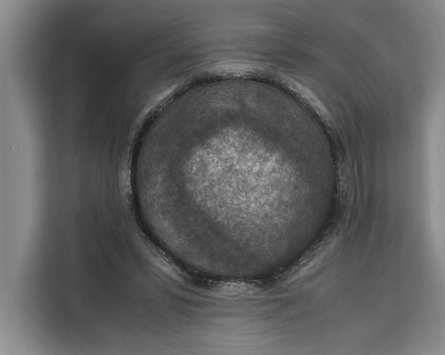 X0000111140399200907141325