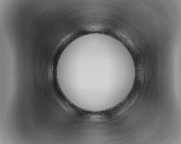 X0000111140400200907141325