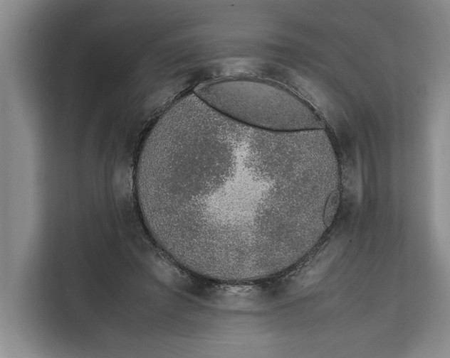 X0000111140401200907141325