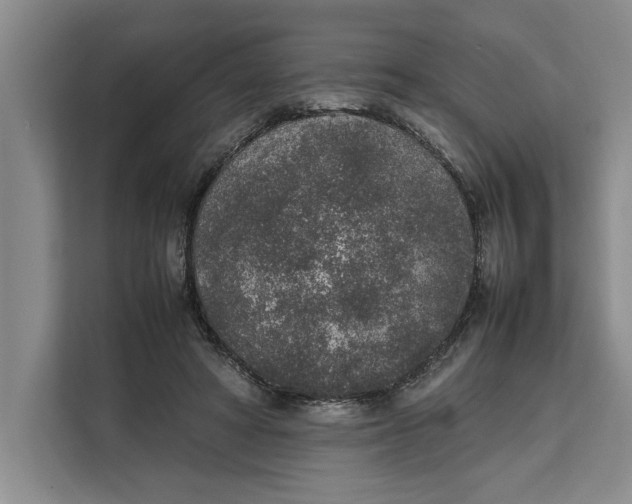 X0000111140402200907141325