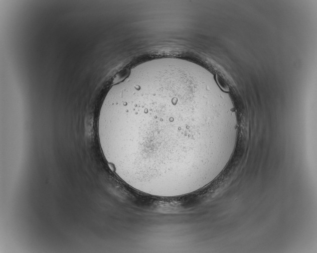 X0000111140403200907141325