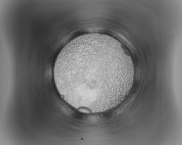 X0000111140405200907141325