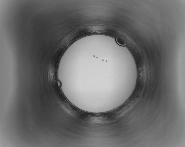 X0000111140408200907141325