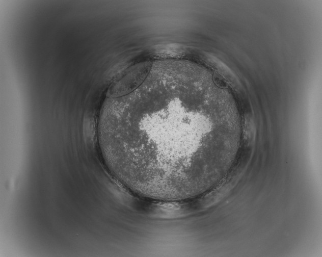 X0000111140409200907141325