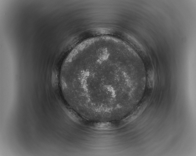 X0000111140410200907141325