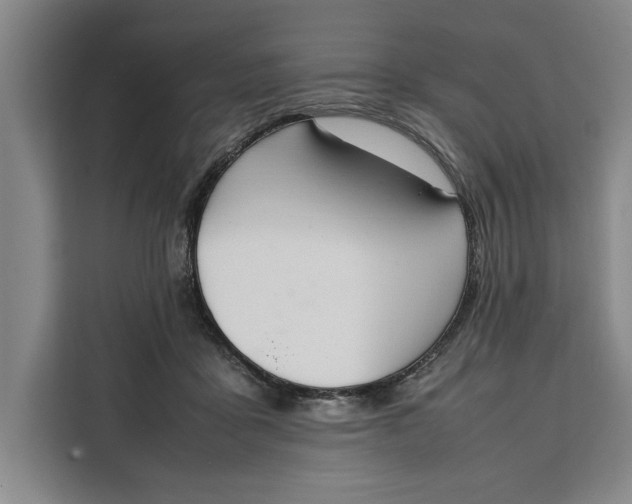 X0000111140411200907141325