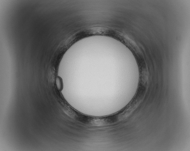 X0000111140413200907141325