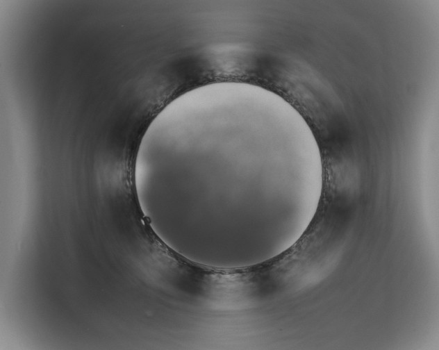 X0000111140419200907141325