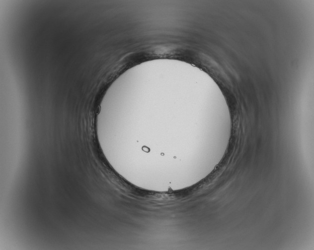 X0000111140421200907141325