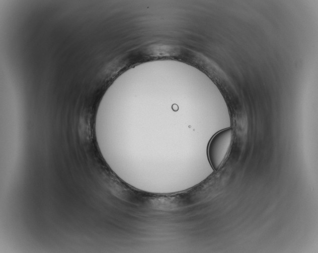 X0000111140422200907141325