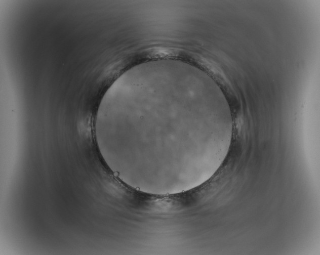 X0000111140423200907141325