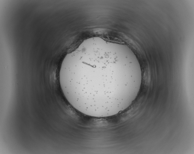 X0000111140424200907141325