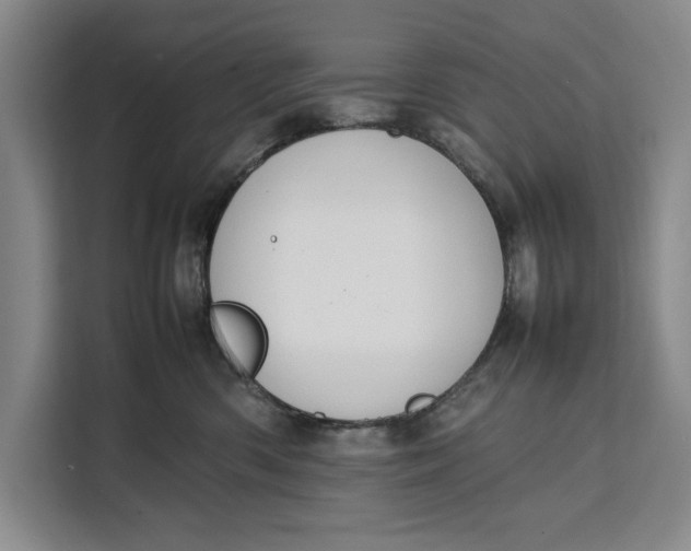 X0000111140426200907141325