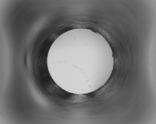 X0000111140429200907141325