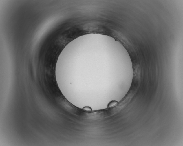 X0000111140430200907141325