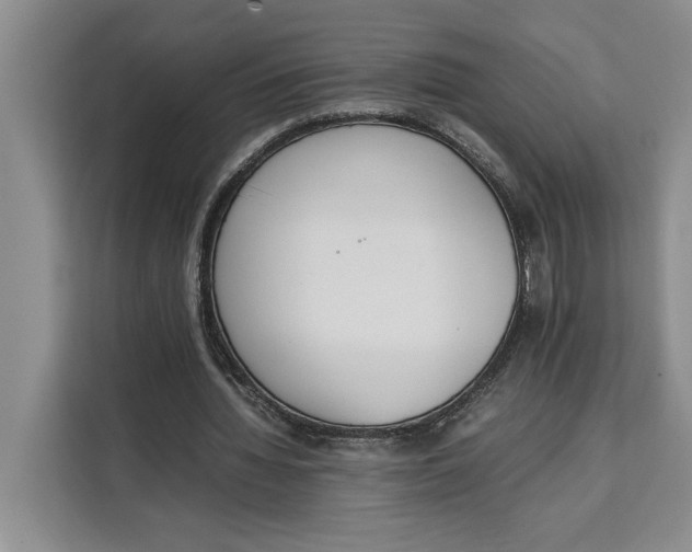 X0000111140436200907141324