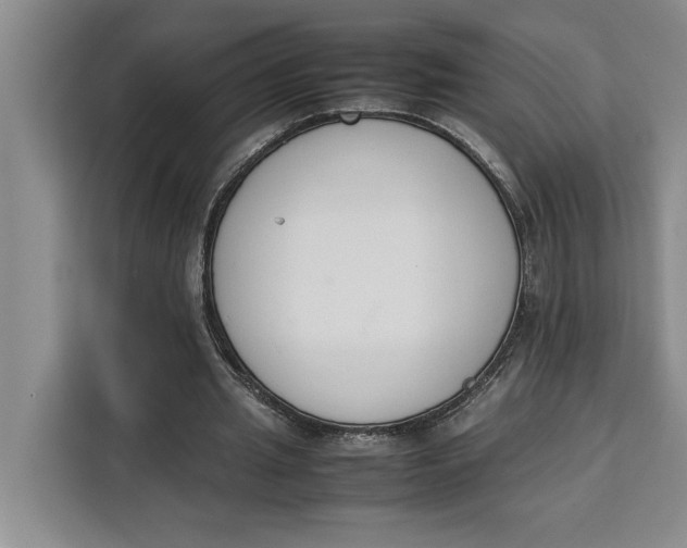 X0000111140437200907141324