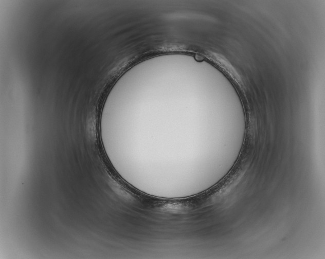 X0000111140441200907141324