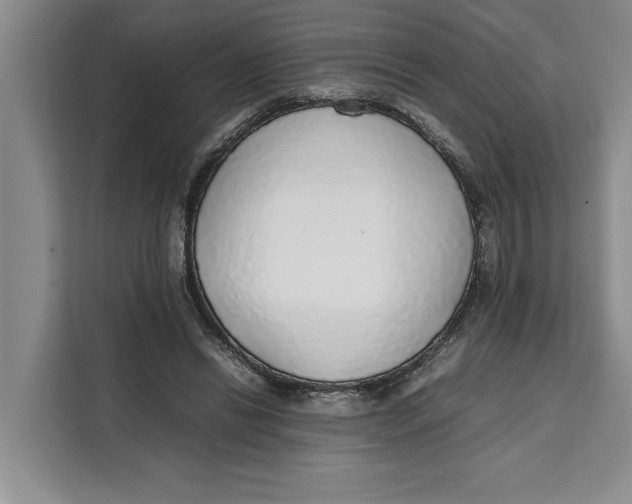 X0000111140446200907141325