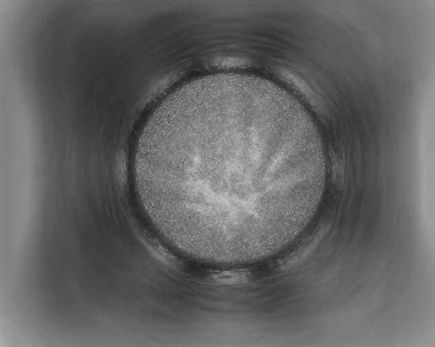 X0000111140447200907141325