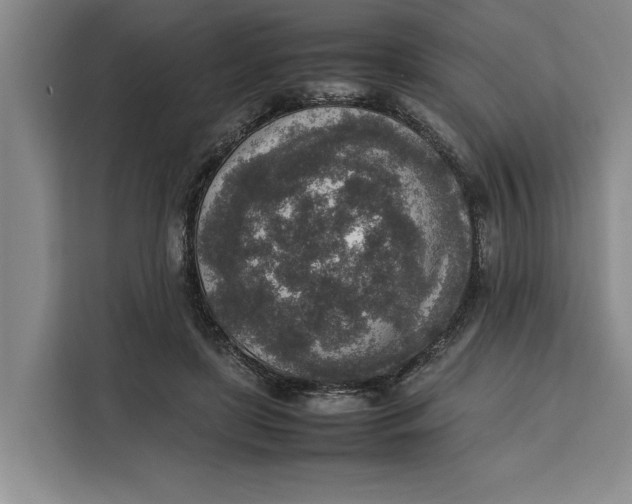 X0000111140451200907141325