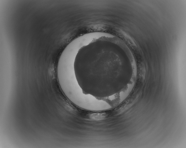 X0000111140465200907141325