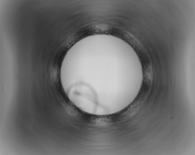 X0000111140468200907141325