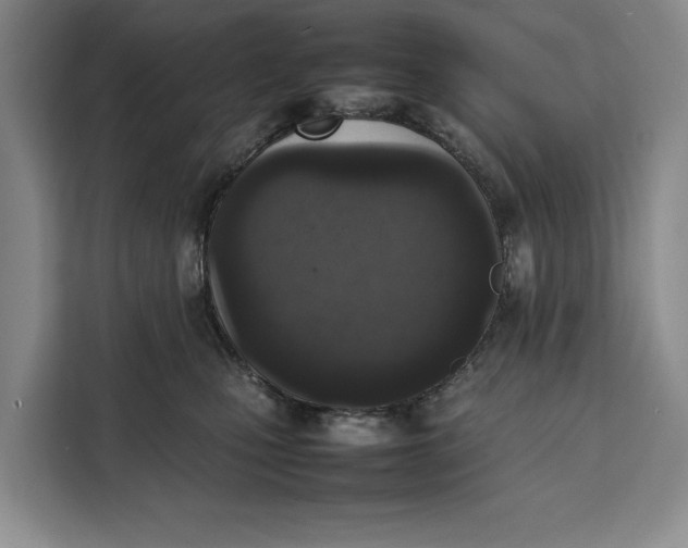 X0000111140471200907141325