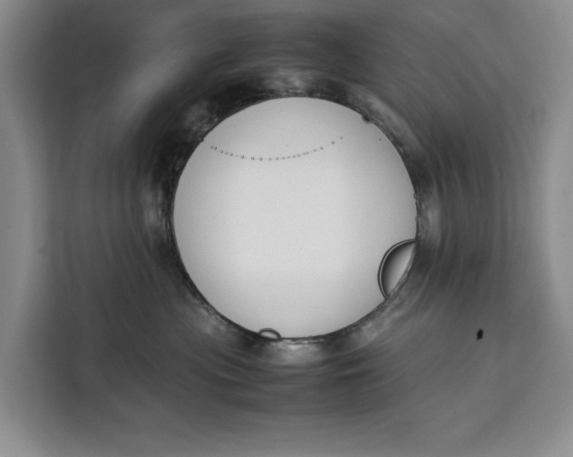 X0000111140477200907141325