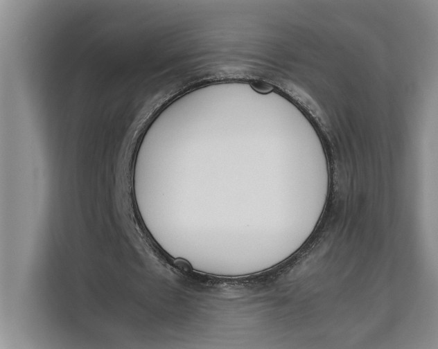 X0000111140481200907141324