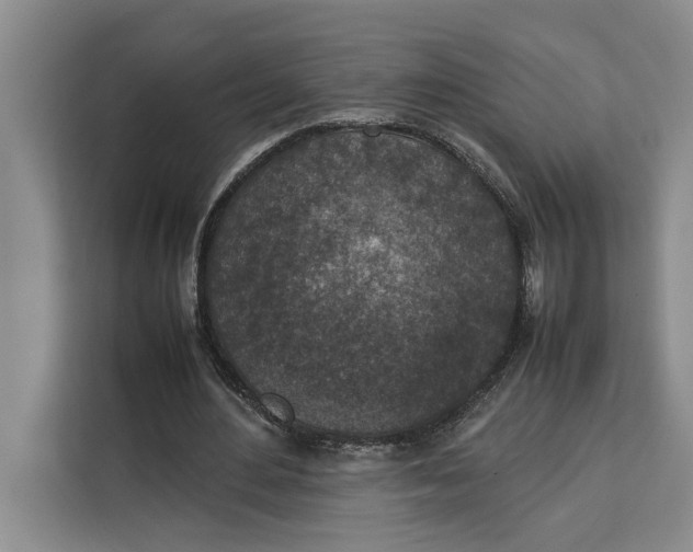 X0000111140484200907141324