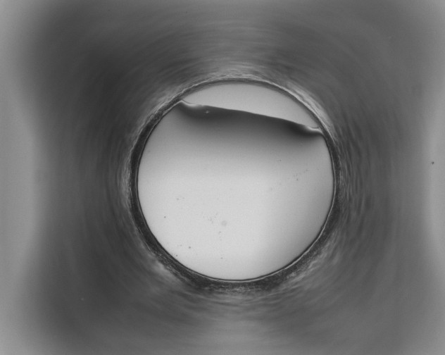 X0000111140485200907141324