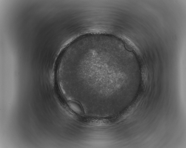 X0000111140488200907141324