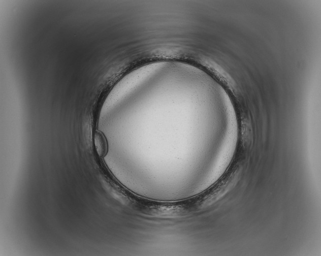 X0000111140493200907141324