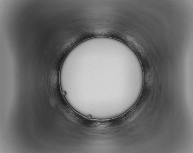 X0000111140495200907141324