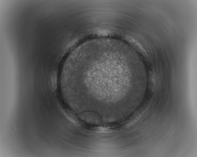 X0000111140496200907141324