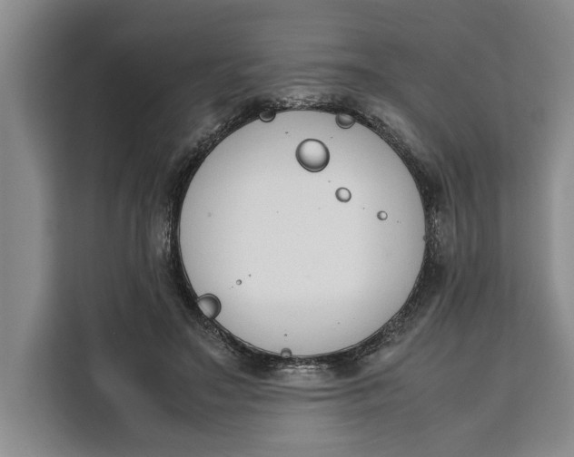 X0000111140499200907141324