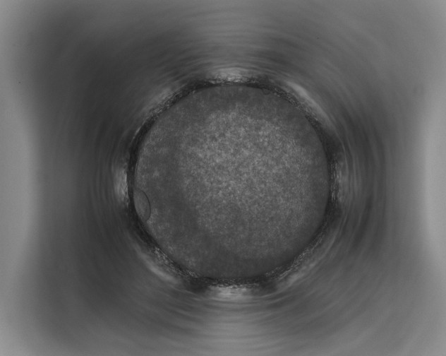 X0000111140500200907141324