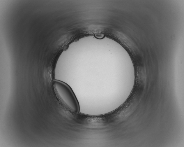 X0000111140501200907141324