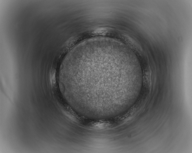 X0000111140504200907141324