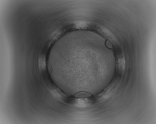 X0000111140508200907141324