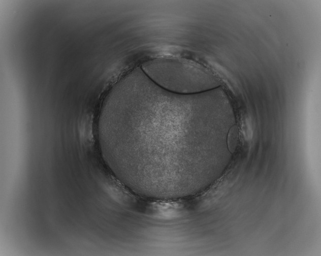 X0000111140512200907141324