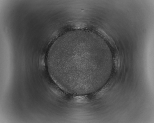 X0000111140516200907141324