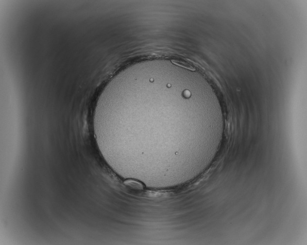 X0000111140520200907141324